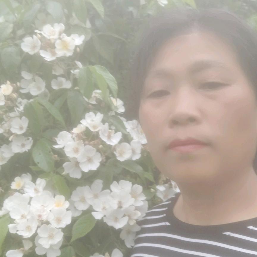 每天都开心