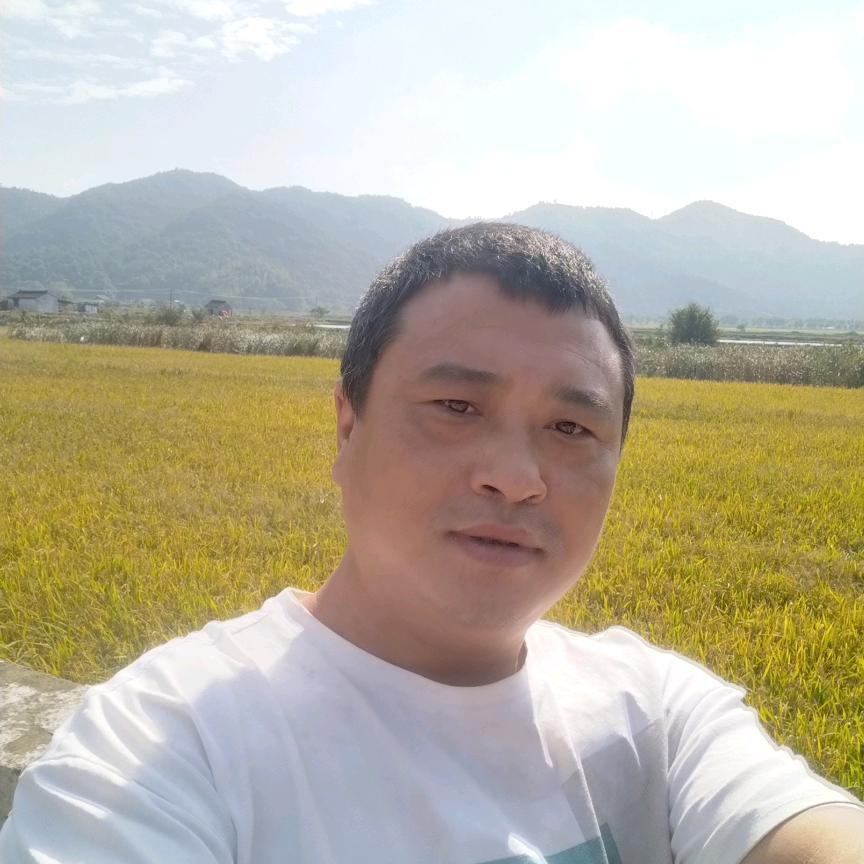 小郑吃不饱  168