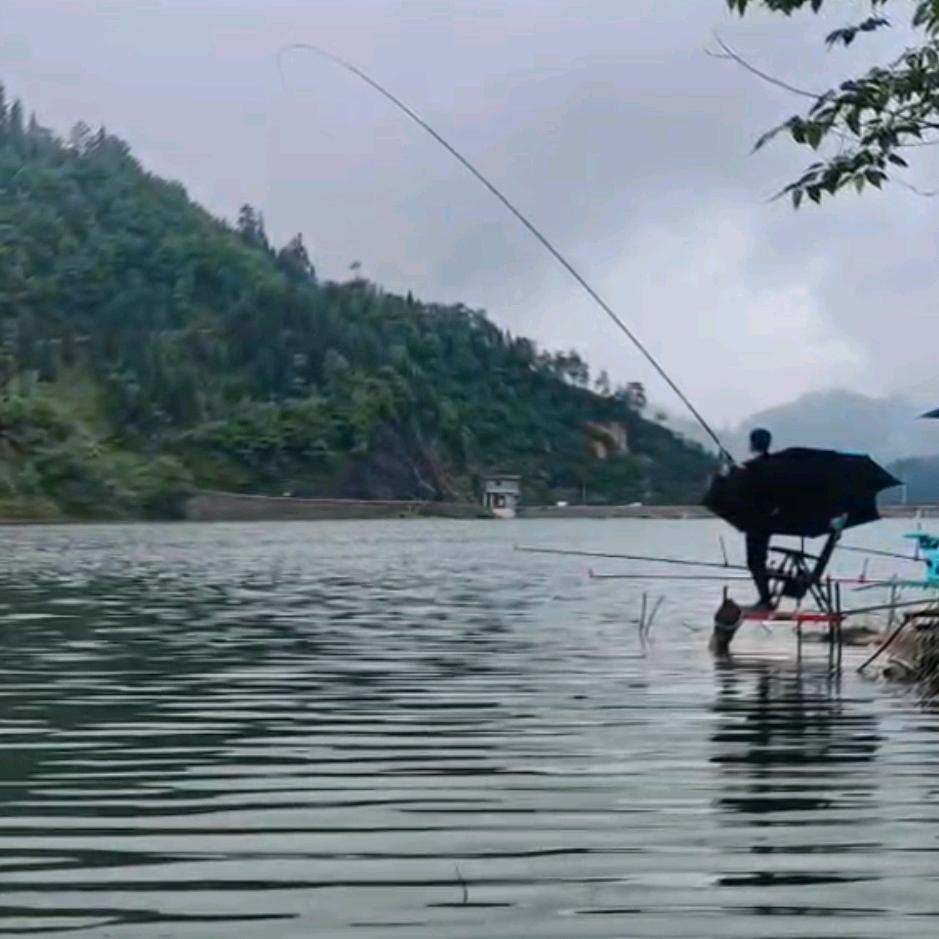 小胡爱钓鱼
