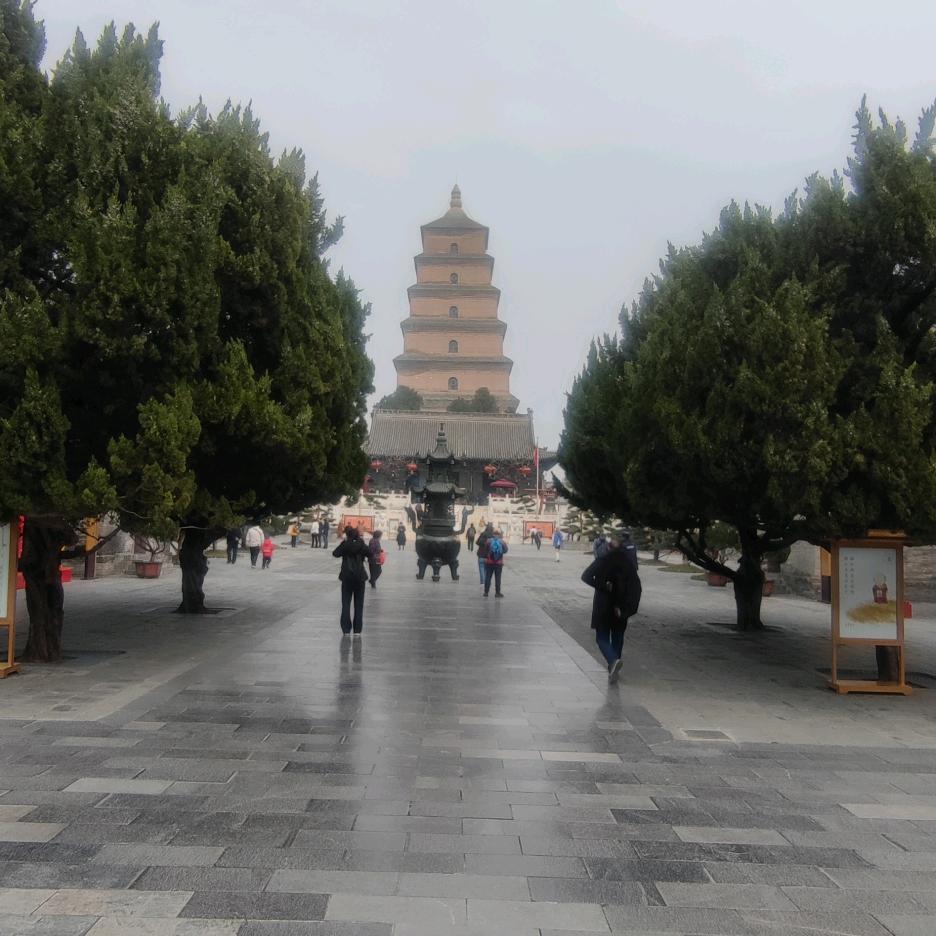 烟花易凉