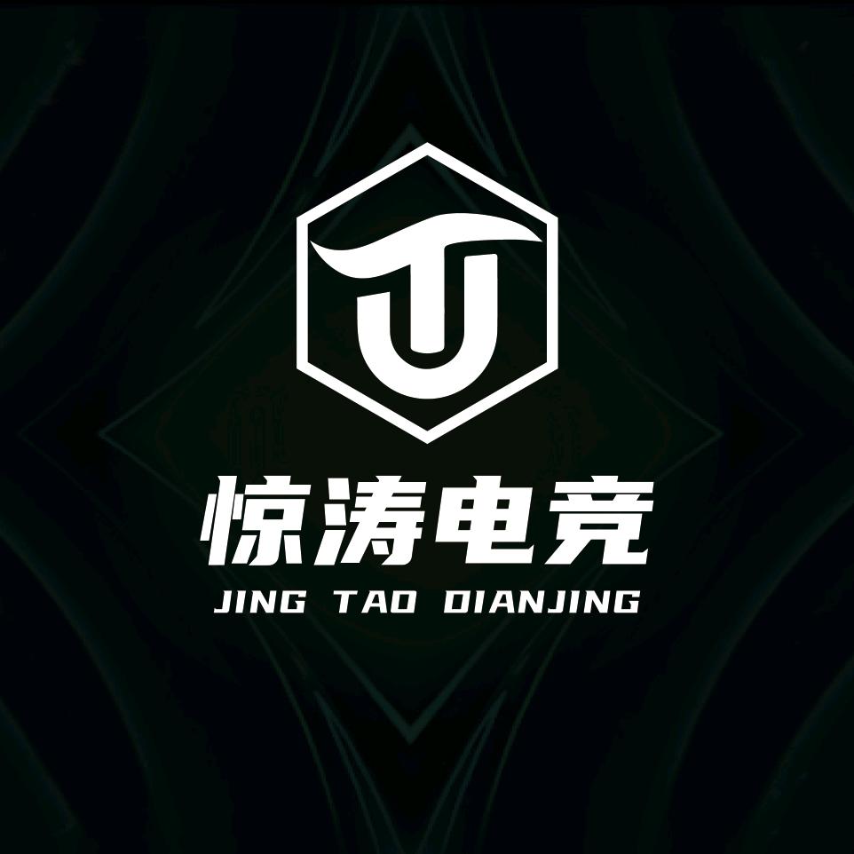 惊涛电竞（三角洲行动）