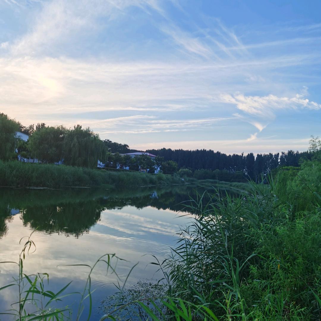 三人行必有我师