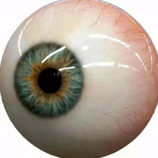 𝕱𝖗𝖆𝖓𝖐 𝖋𝖚𝖓