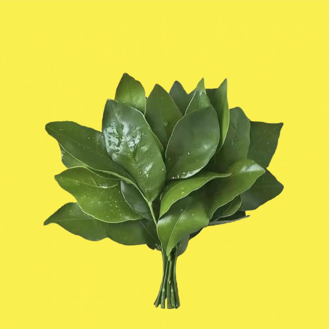 图图每天cos女仆勾引壮壮妈