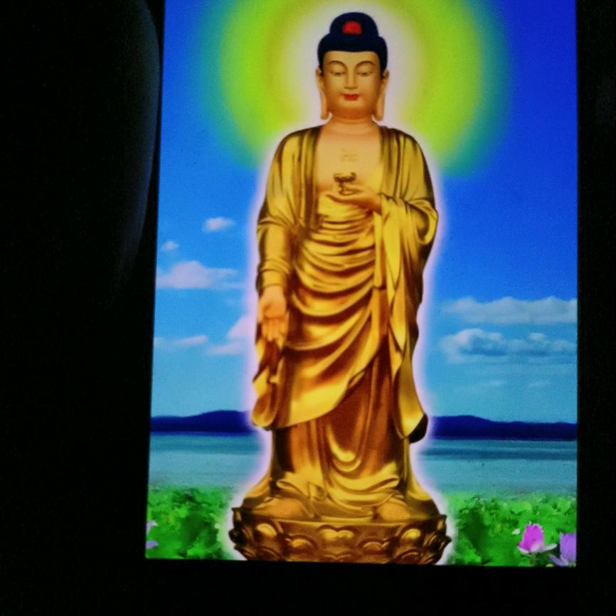莲生