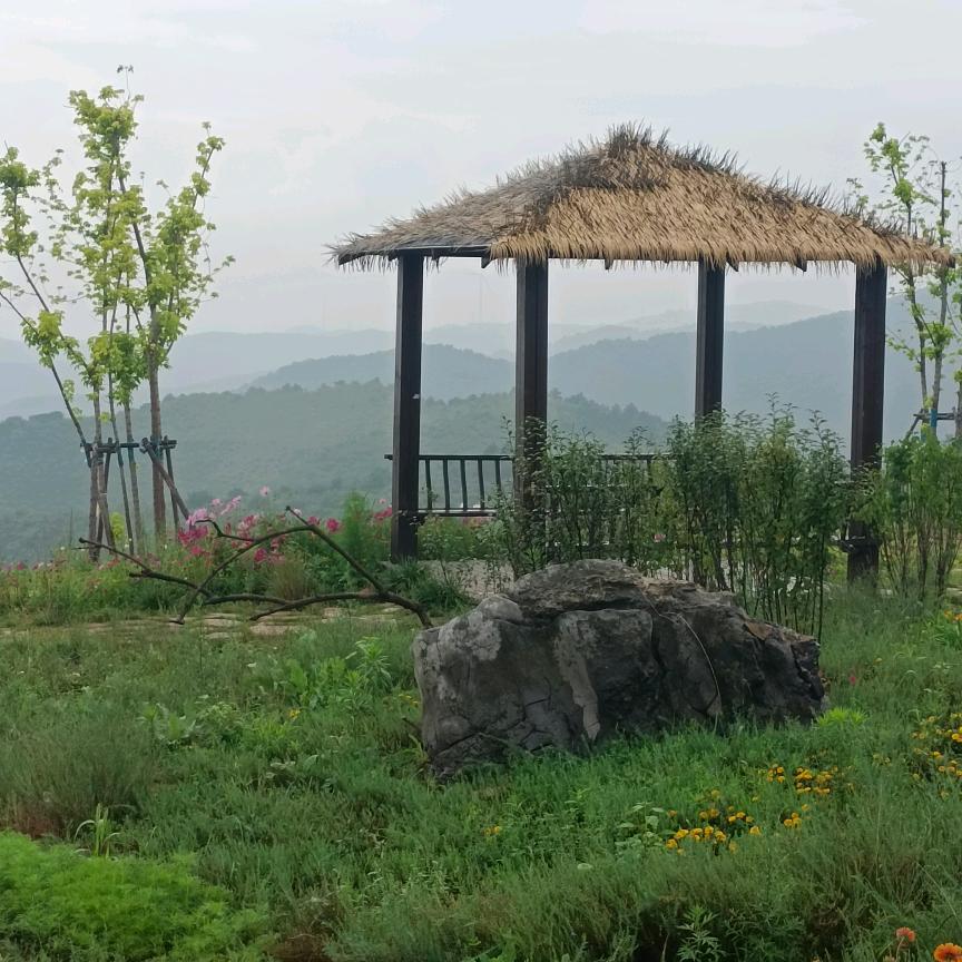 往后余生，，小玉