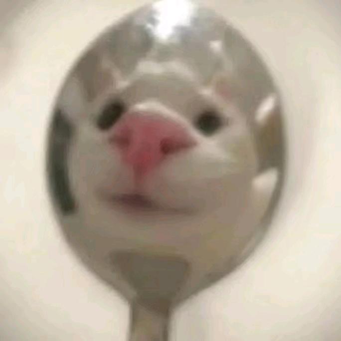 缘起一纸荒年