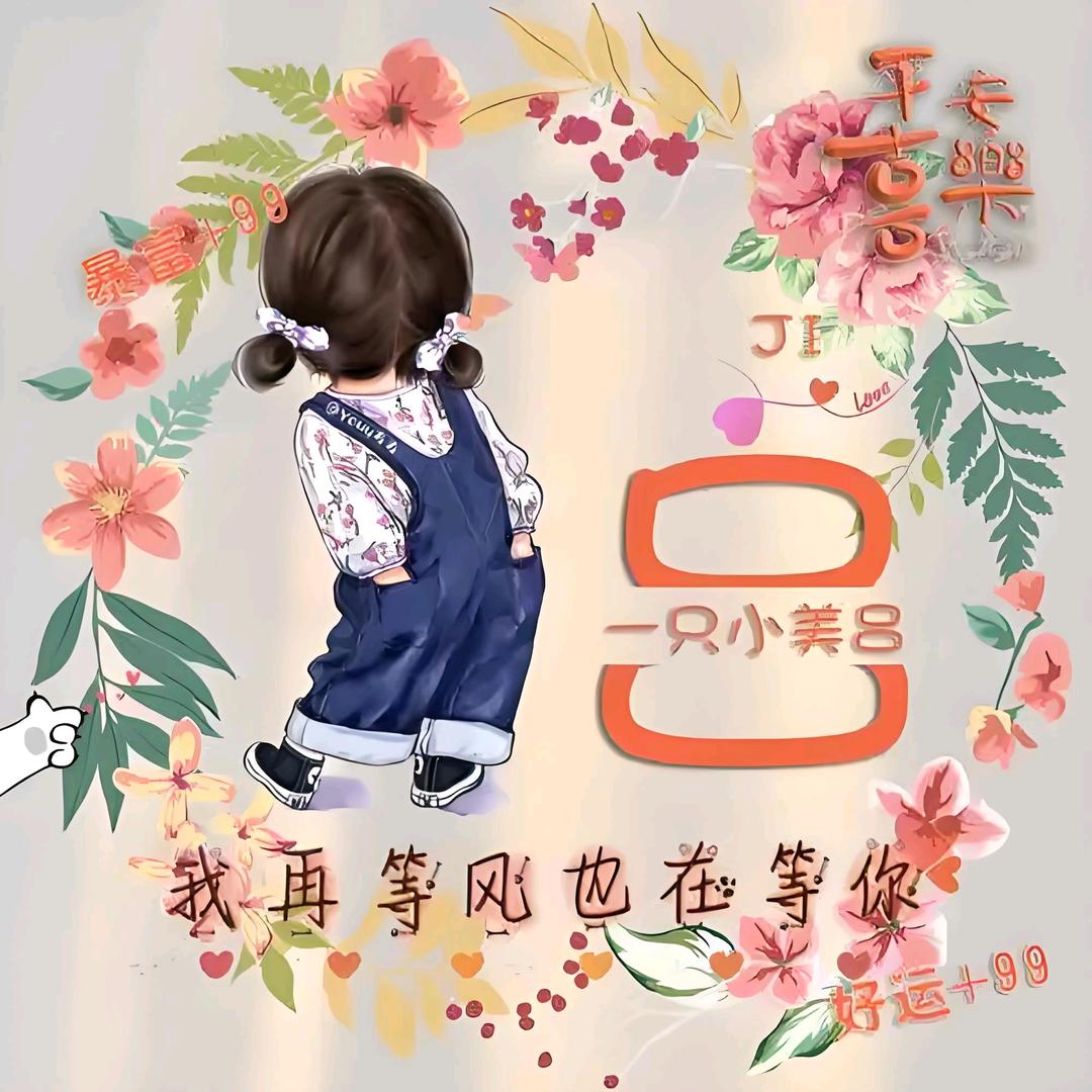自欺装欢头像