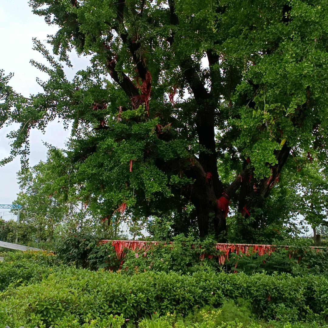 F小小