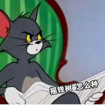 夏天＆喵福＆小团子✨