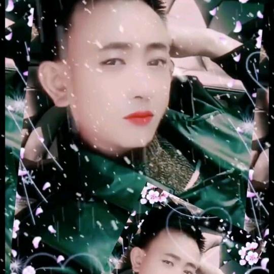 园林维护管专业 罗汉松和黑松造型