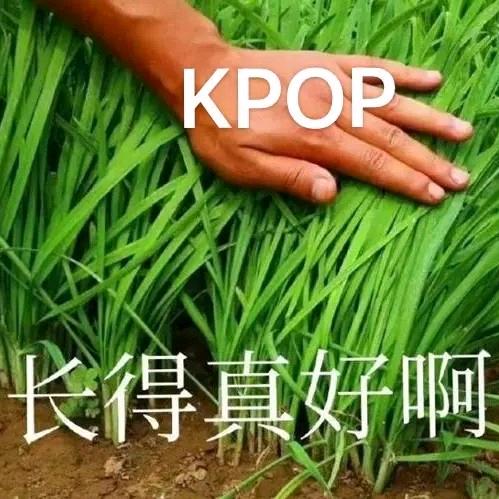 Kpop游戏卡小屋（直播版）