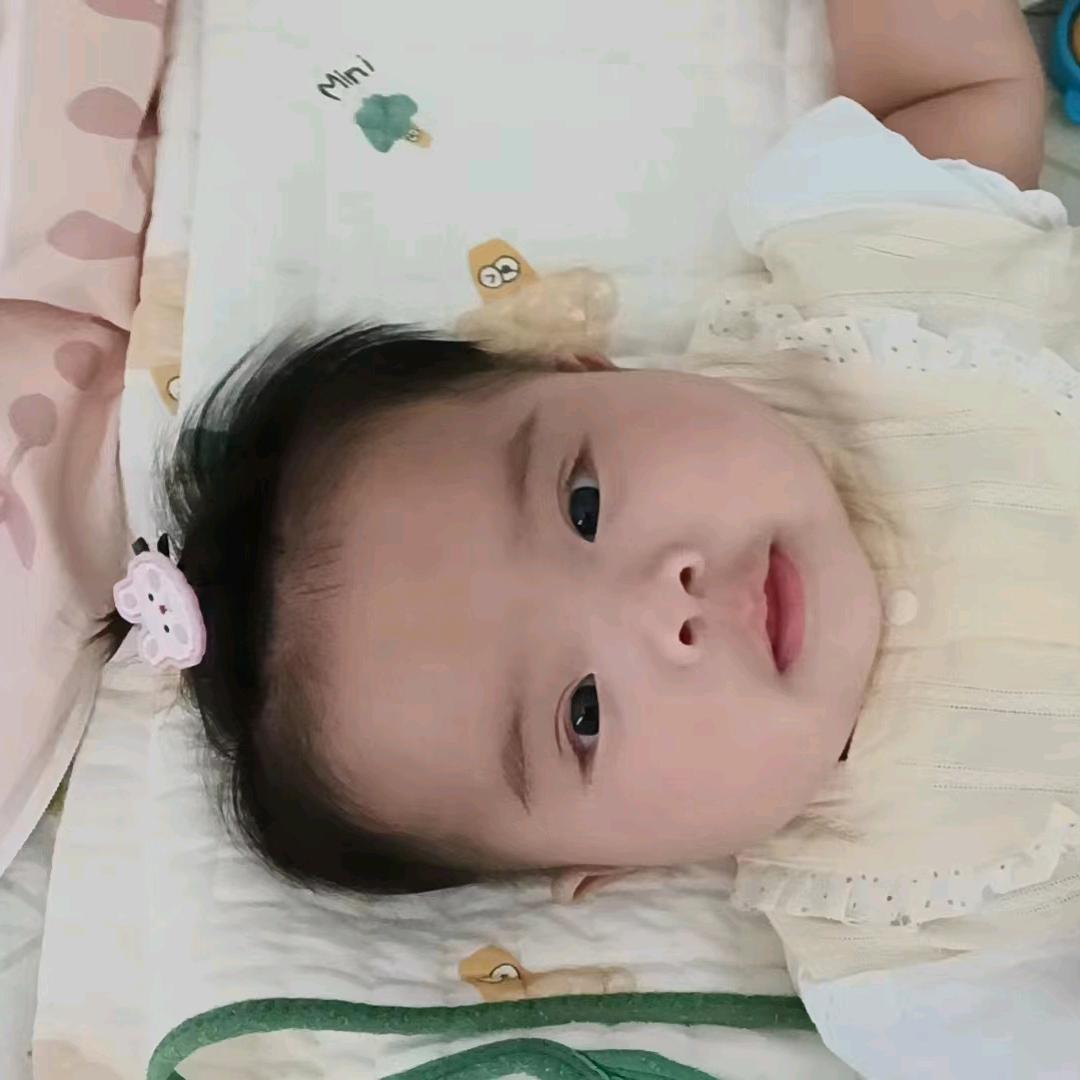 朝朝