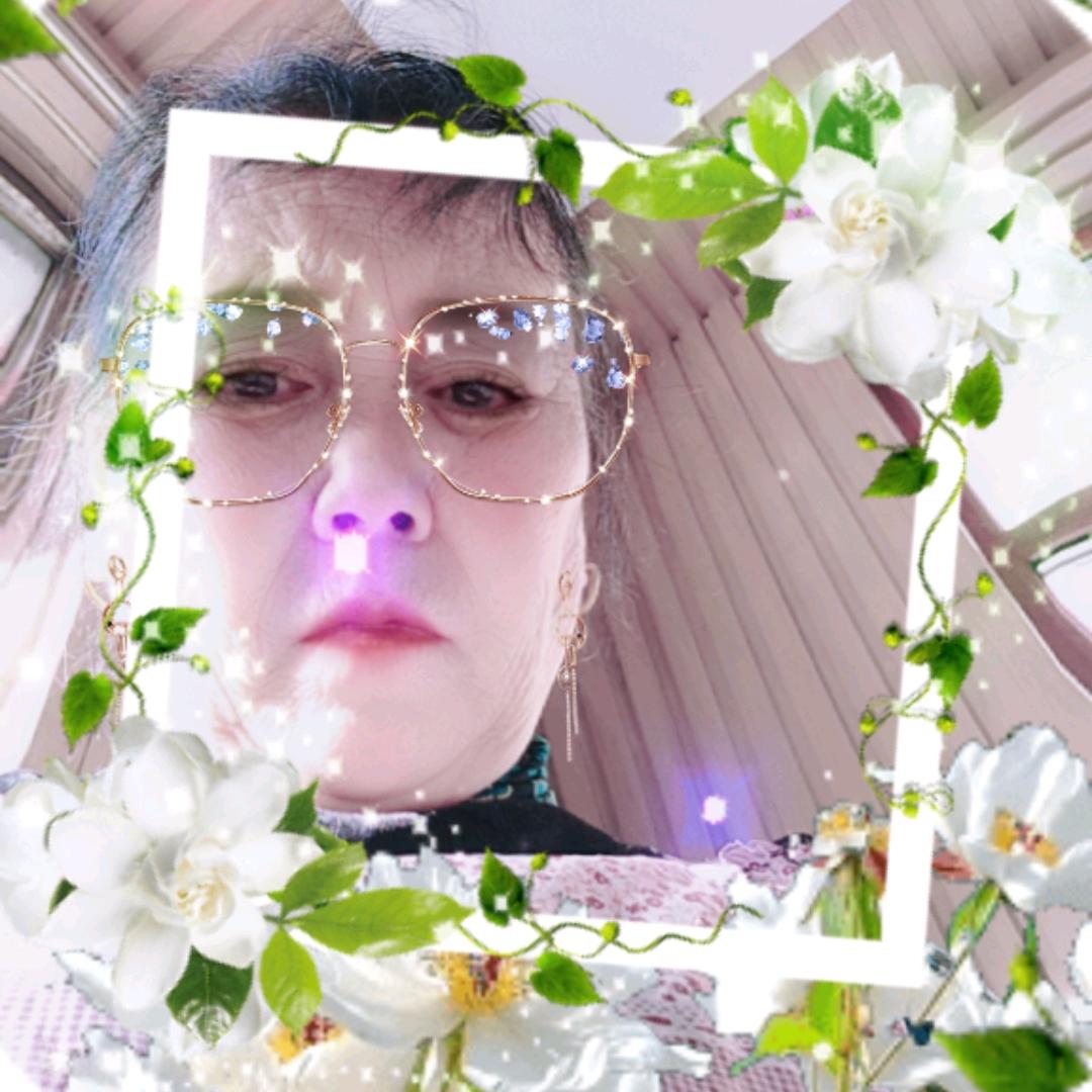 彩虹444