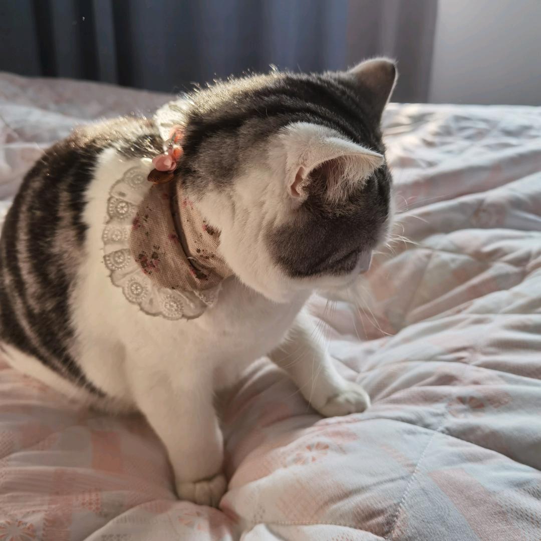 🛌🤺人生一场戏