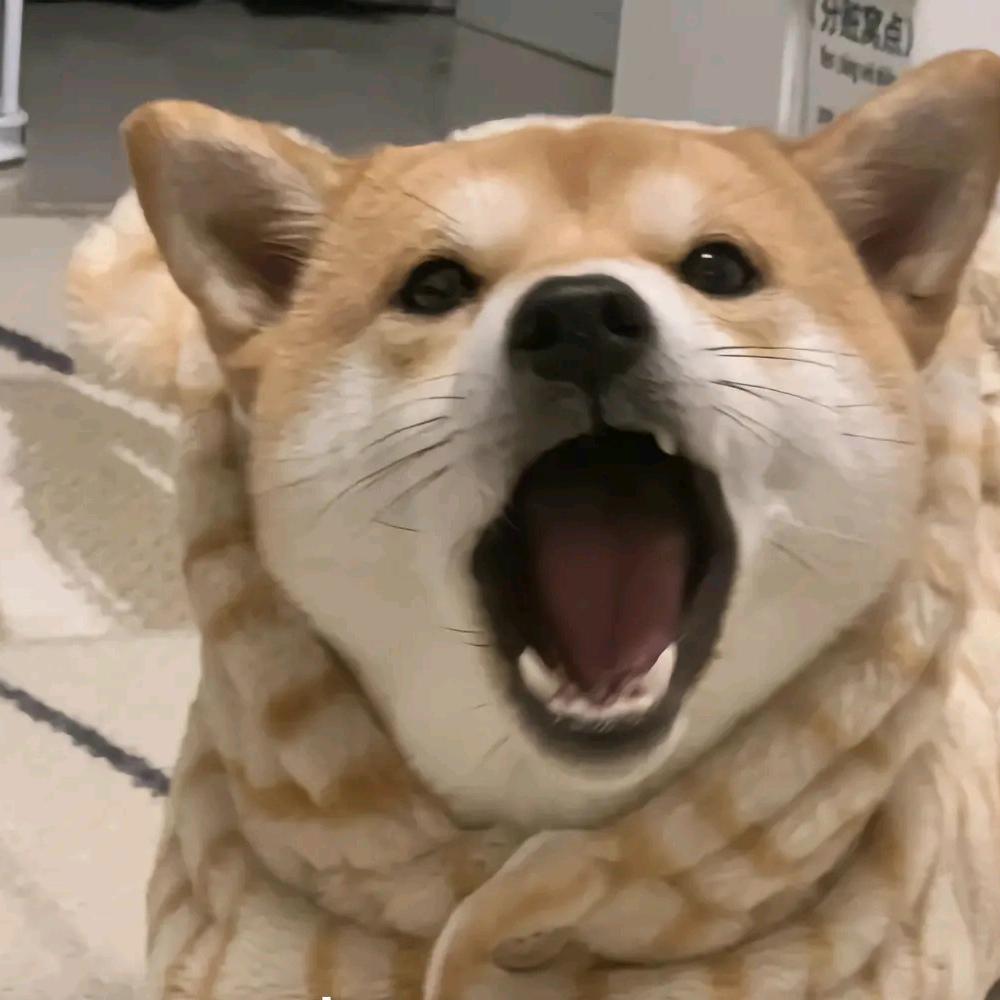 启蛰