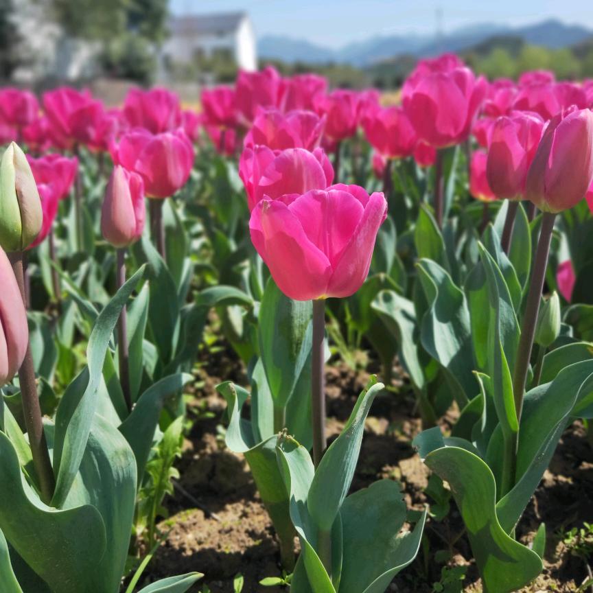 善良的人老是被伤害