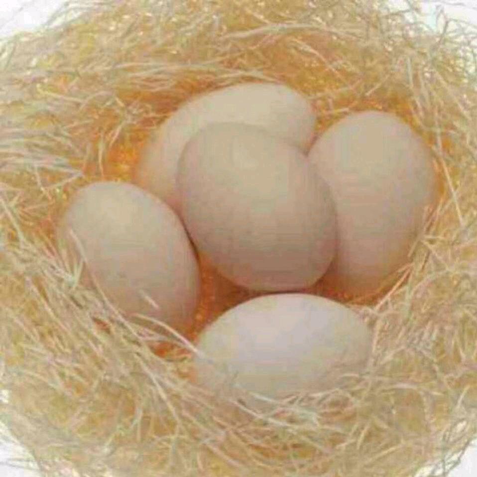 久佳饭店 正宗同安封肉 7059000