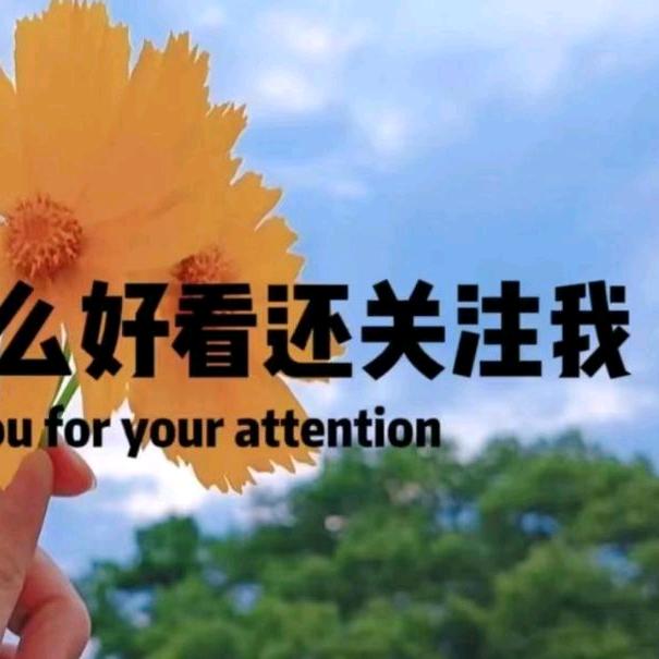 雨烟*首播