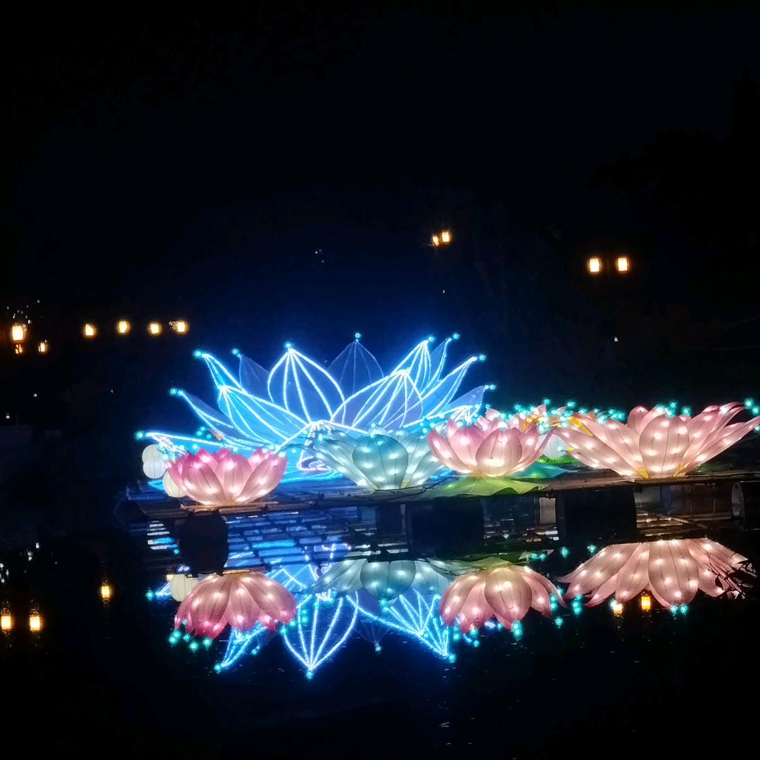 快乐宝贝