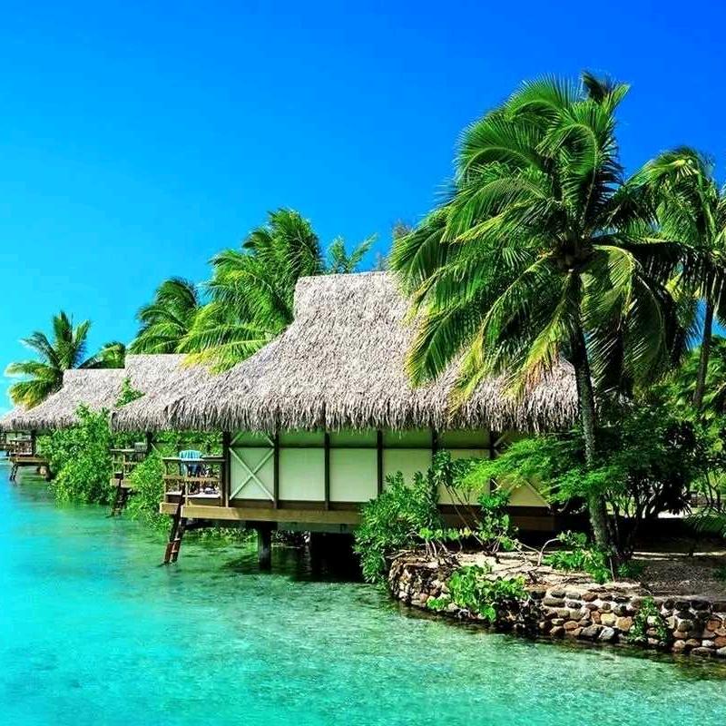 心静怡然（818）