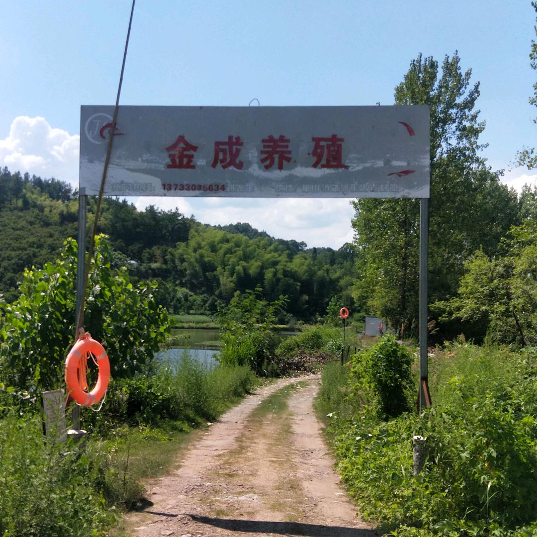 刘世成1373303