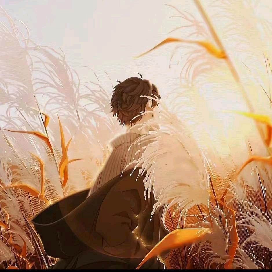 枫