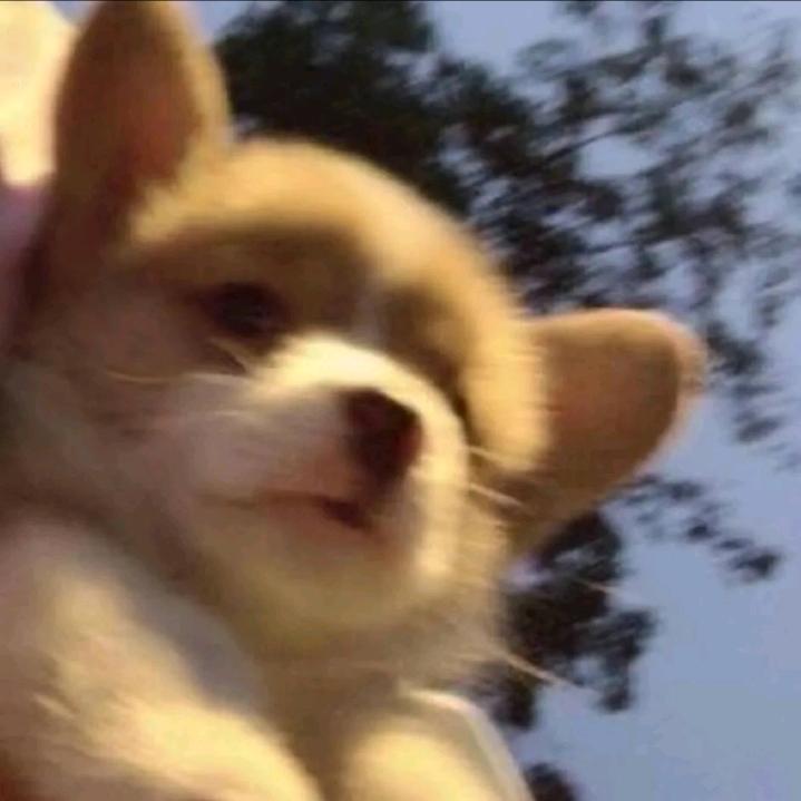 踏啦啦૮₍ ¬ ᴗ