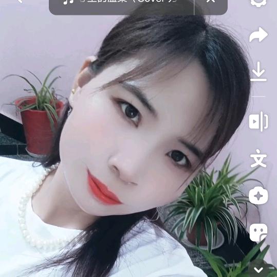 桂桂
