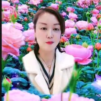 邯郸玲姐小号