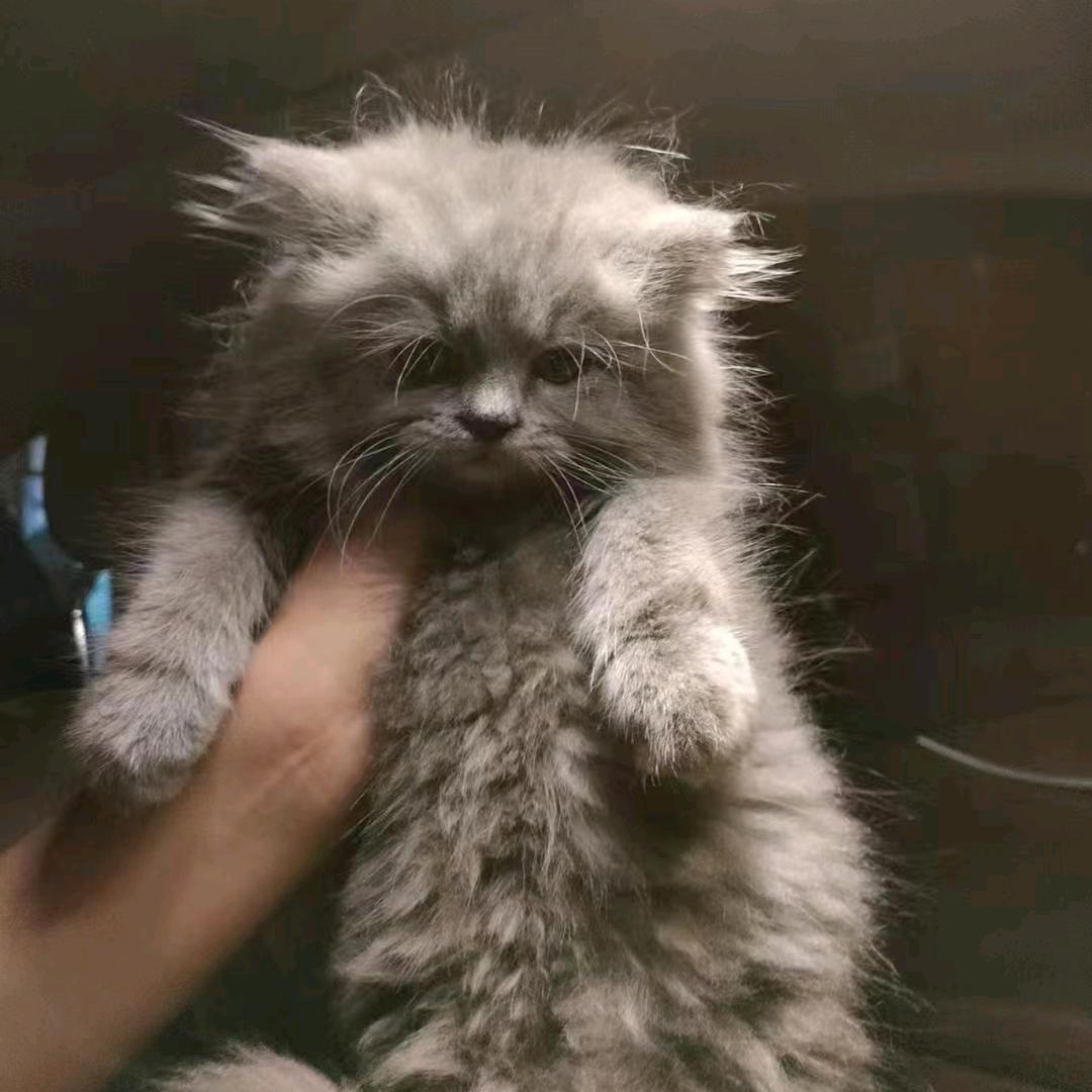 福建区2025届熬夜大赛决赛圈种子选手