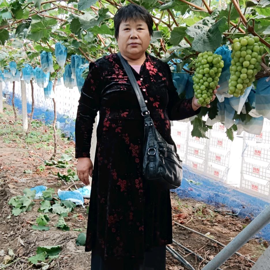 自力自强