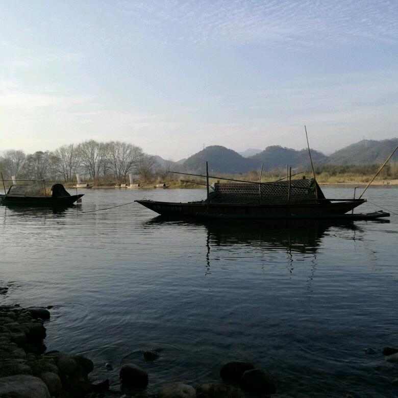 流浪岩头像