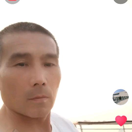 中原龙