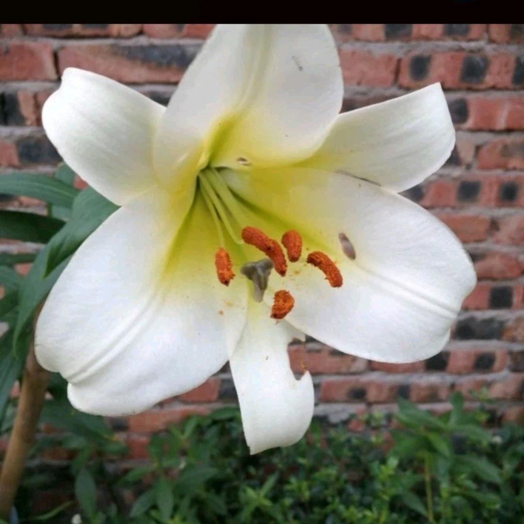 ᦦ້ᮨ꯭໌遇꯭见꯭ꦿᮨ࿐