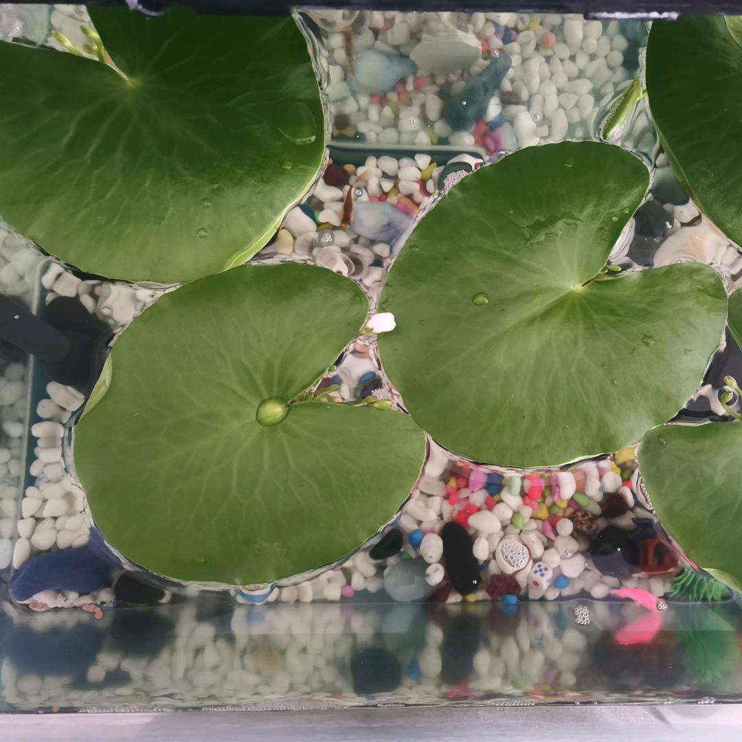治愈青年
