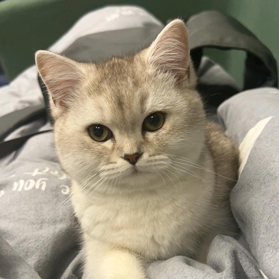 ℂ𝕌𝕋𝔼豆豆