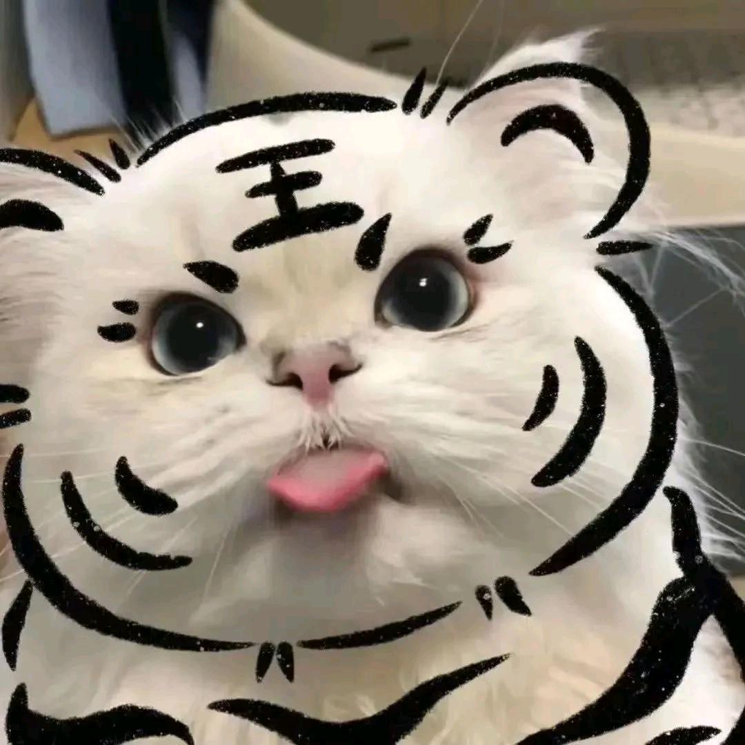 后天依旧暖！