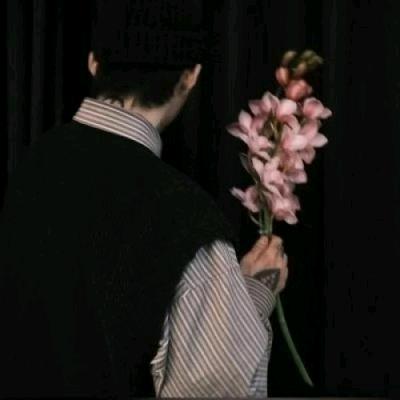 双鲫.