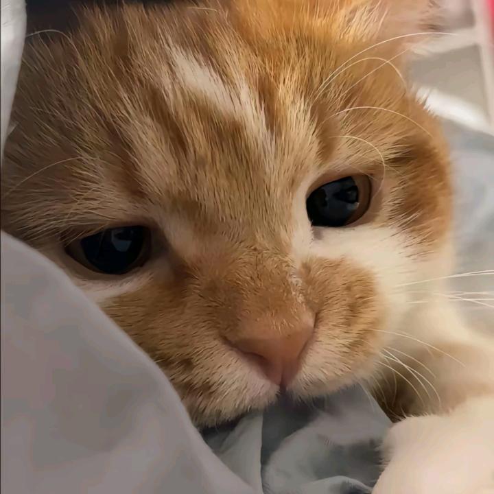 子安