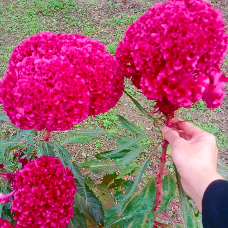 开❤️快乐每一天