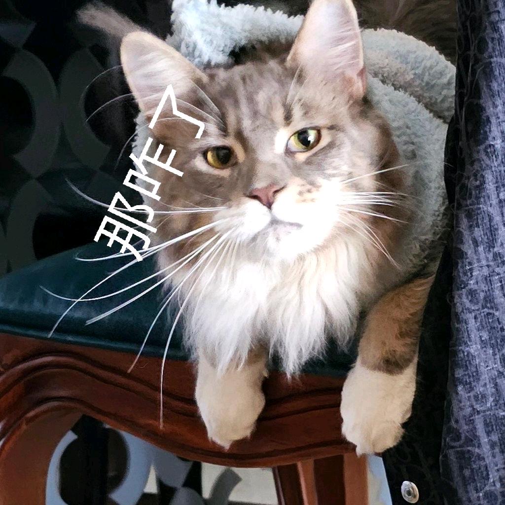 逃逸.