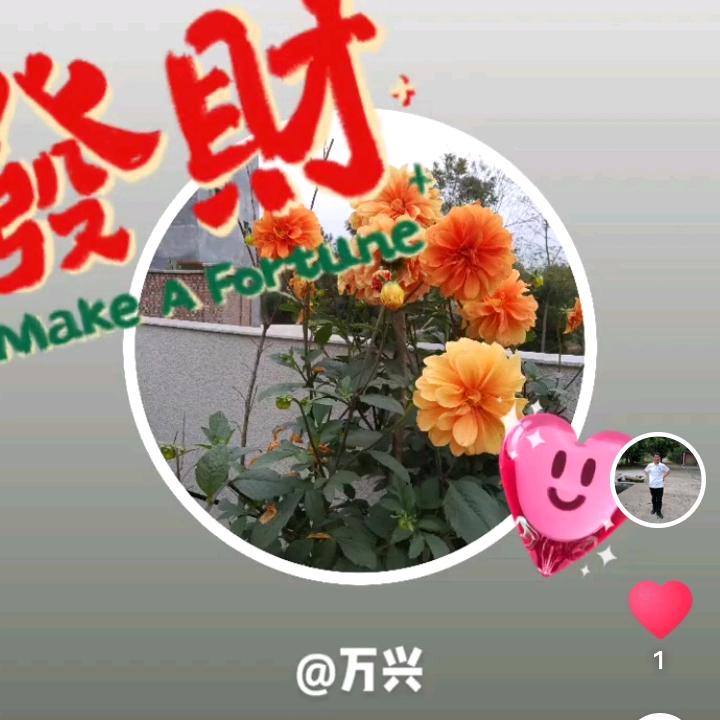 万兴
