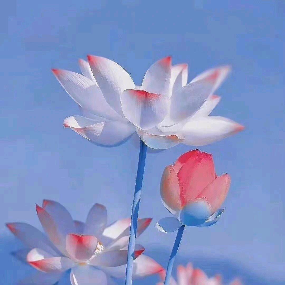 普渡终生