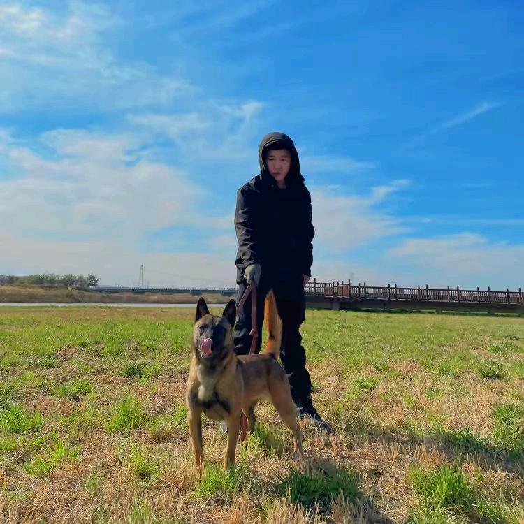 会飞的狗子🐶