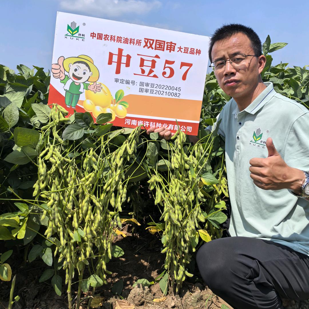 豆是不一样
