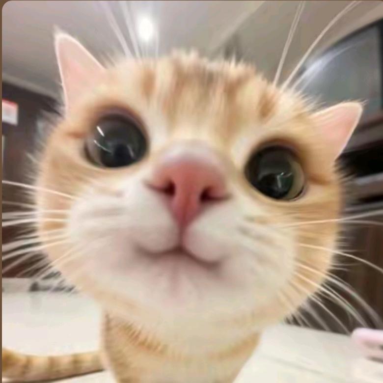 我是筱魂淡
