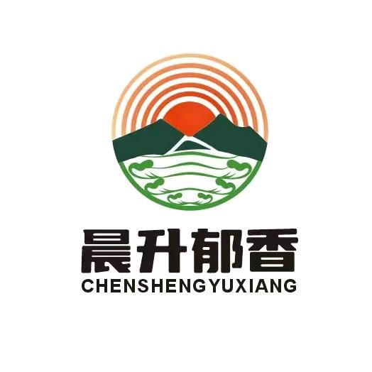 晨升郁香静静