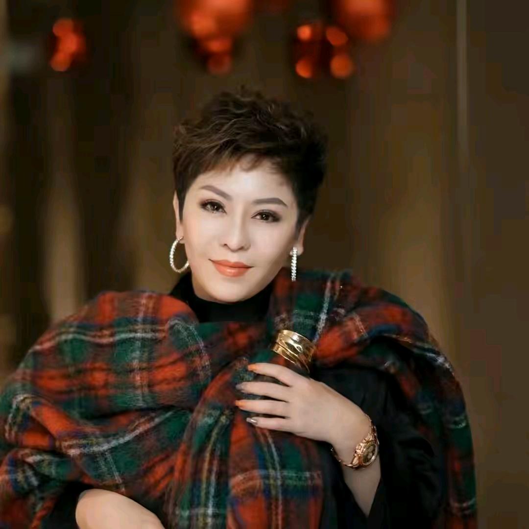 向太直播诚意甄选