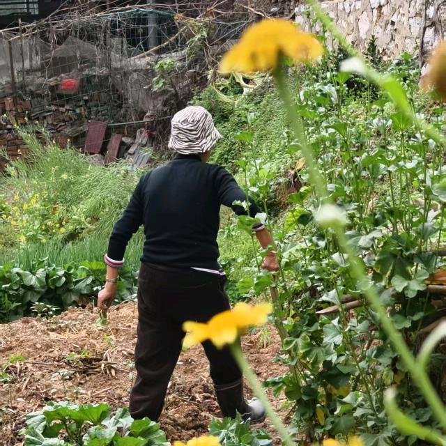 L卢爱兰（建山人）